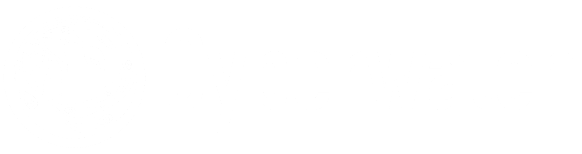 Logo Cyberwatch